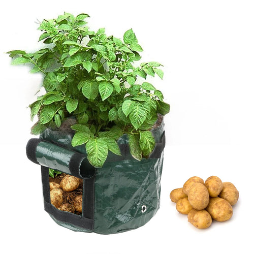 Garden Supplies Vegetable Plant Grow Bag Planting Container Bag Thicken Garden Pot 1Pcs DIY Potato Grow Planter PE Cloth